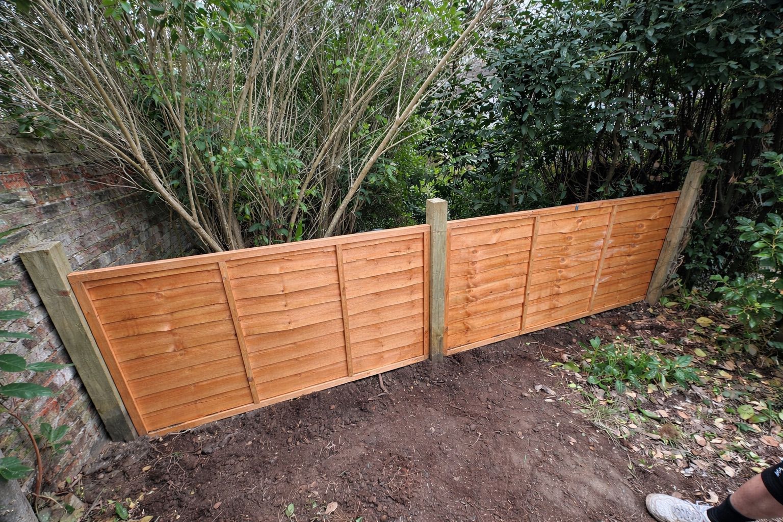 New feather-edge fence installed by EHW Landscapes in Hampshire