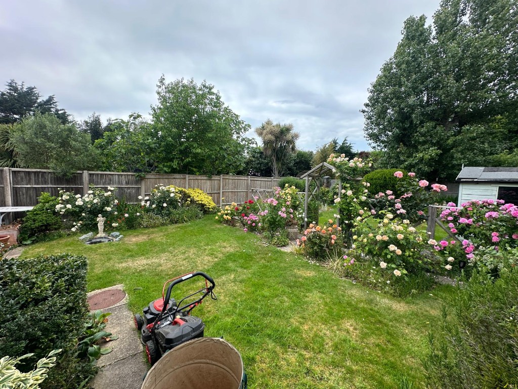 Roses in full bloom beside a freshly mown lawn in a garden maintained by EHW Landscapes on Hayling Island