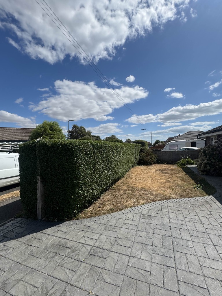 Privet hedge cut square and level along a driveway in Havant, Hampshire