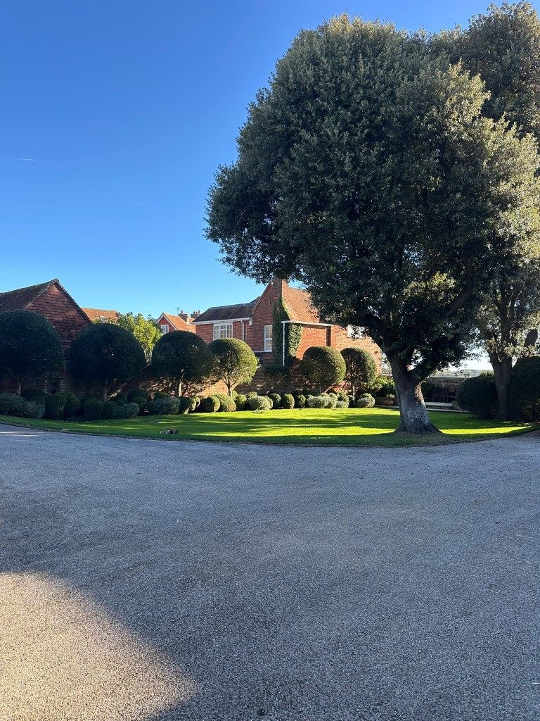 Cloud-pruned topiary and a clipped hedge along a brick wall, maintained by EHW Landscapes