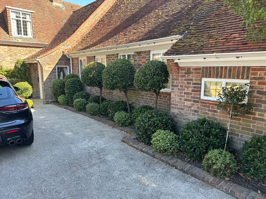 Clipped topiary and neat hedge cutting along a driveway in Havant, Hampshire