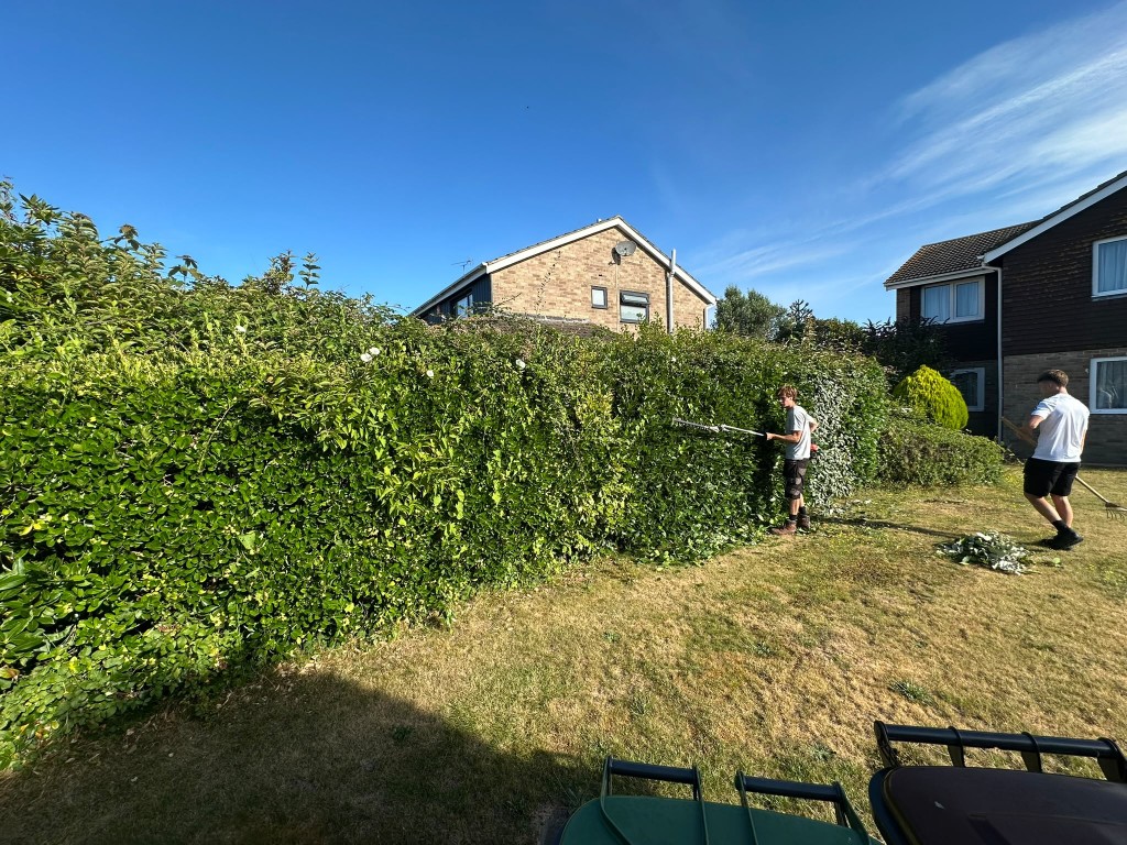 EHW Landscapes cutting a tall garden hedge in Emsworth, South Hampshire