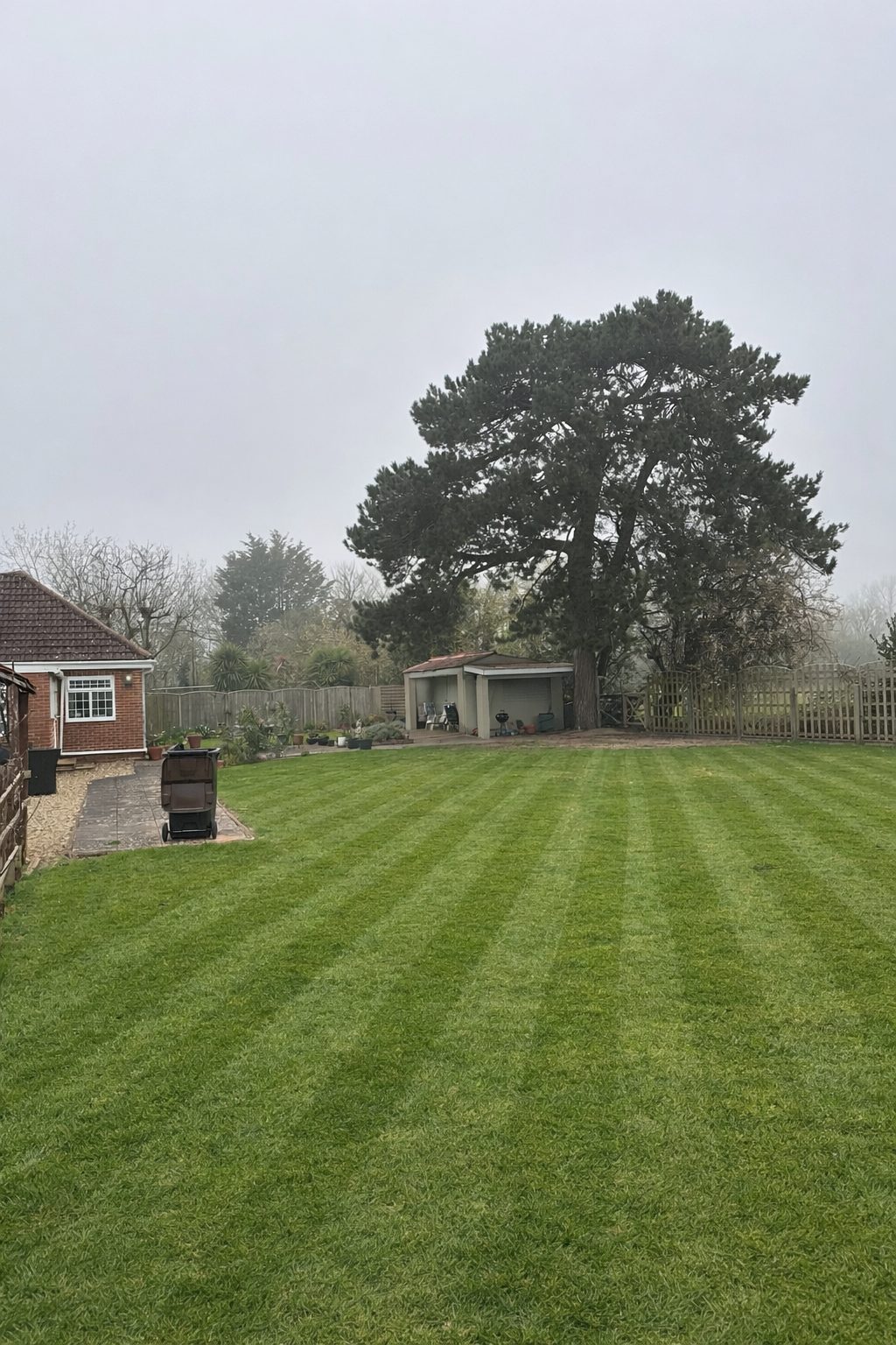 Striped lawn with garden outbuilding