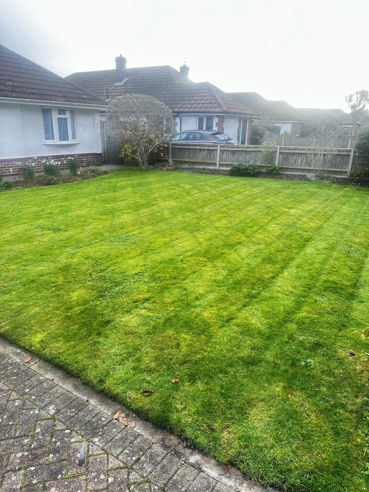 Freshly mowed bungalow lawn