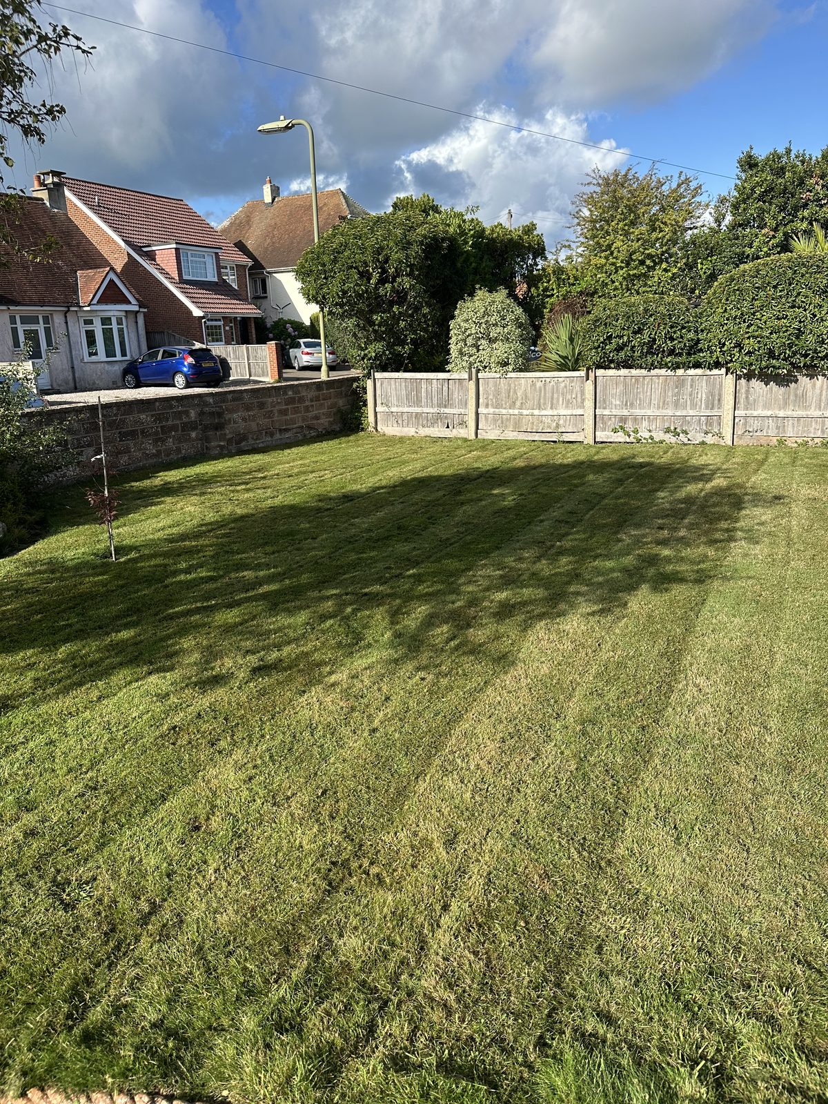 Residential lawn on a sunny day