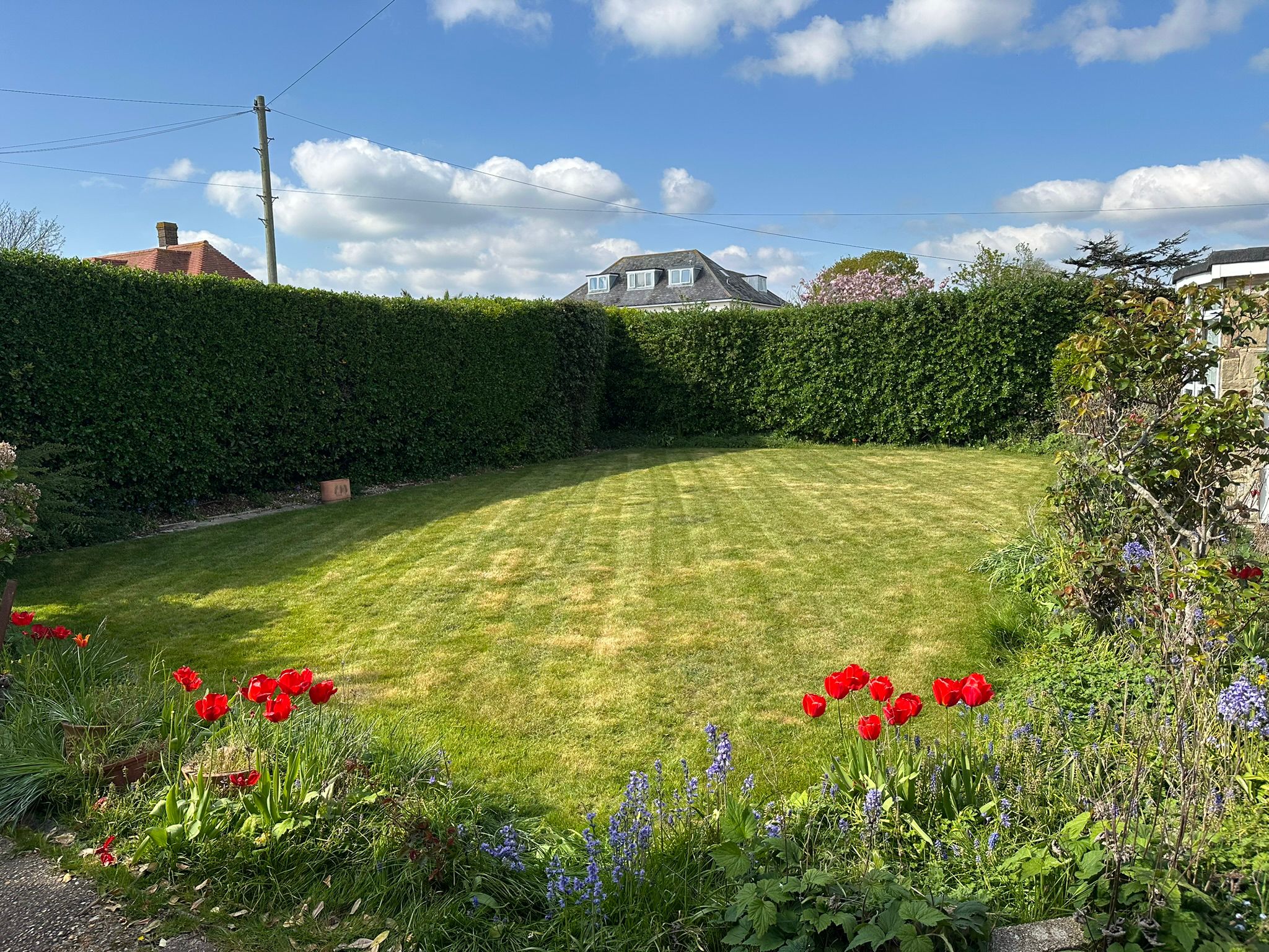 Tidy striped lawn maintained in South Hampshire