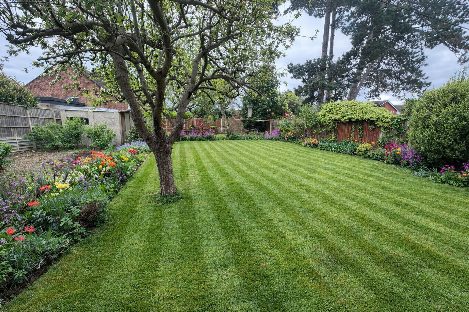 Residential lawn cut and edged on Hayling Island
