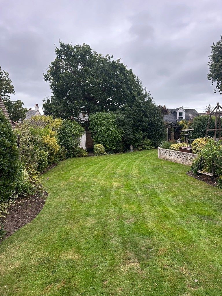 Striped lawn mown in a long curve through a planted garden in Hampshire