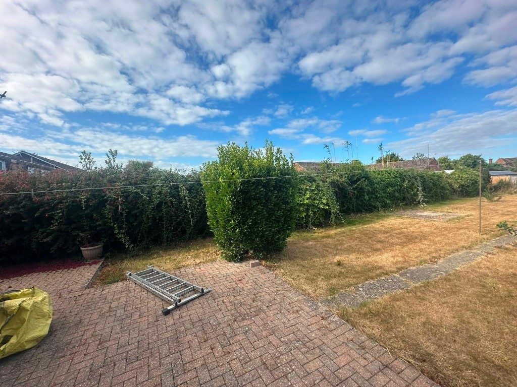 An overgrown garden hedge before it was cut back in Hampshire