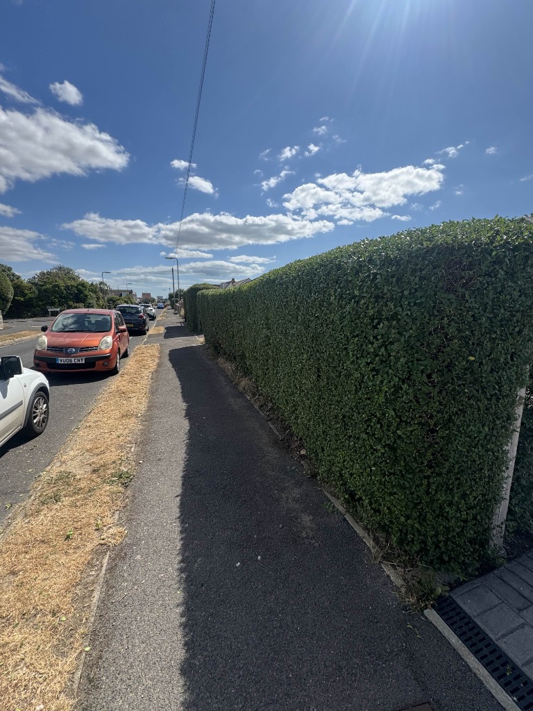 The same roadside hedge cut flat and square with crisp edges after hedge trimming